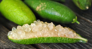 Finger lime, il limone che sembra caviale