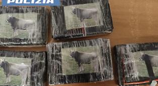 Auto rubata vicino allo stadio Massimino con 5 kg di cocaina confezionati con la foto di bovino