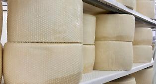 Dalla ricotta alla cagliata, ode al formaggio alla Sagra del Quisquina Cheese Festival il 30 e il 31 maggio