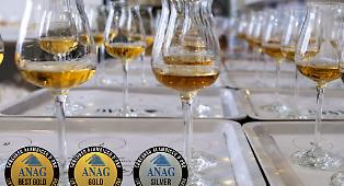 Alambicco d'oro, tra grappe, drandy e gin ecco chi sono i i siciliani che conquistano medaglie