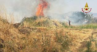 Incendi, il Wwf: &laquo;Creare un gruppo investigativo permanente interforze&raquo;