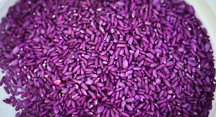 Autunno in tavola, cinque ricette per riscoprire il riceberry