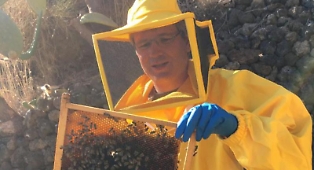 Dalla Svizzera a Ginostra per produrre il miele di cappero. &laquo;&Egrave; l'unico al mondo, rilanciamo l'agricoltura a Stromboli&raquo;