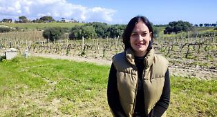 Vino con meno alcol? In Sicilia c&rsquo;&egrave; chi lo fa gi&agrave; e non &egrave; pi&ugrave; un tab&ugrave;, il primo esperimento nel Sud Est