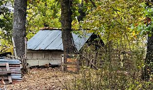 Famiglia nel bosco, perch&eacute; la madre rischia l'allontanamento dalla struttura dove sono stati portati i tre bambini