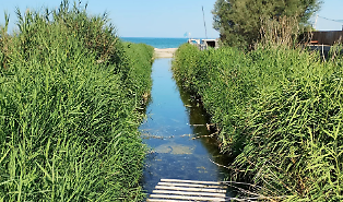 Plaia di Catania, troppi batteri fecali: vietata la balneazione di fronte alla foce del torrente Forcile
