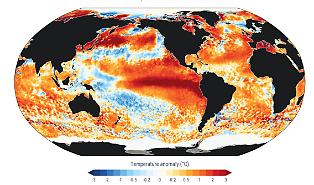 Oceani bollenti nell'estate record: perch&eacute; le misurazioni di Copernicus spaventano gli esperti