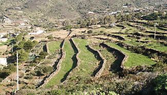 Pantelleria punta sull'equilibrio: musica, alcol e orari per un'estate vivibile