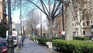 Tornano le domeniche a piedi in via Libert&agrave;: si parte a Pasqua. Bus a 70 centesimi, Ztl sospesa e stop alle auto fino alle 20