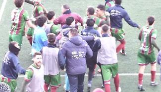 La gioia dei verdeamaranto