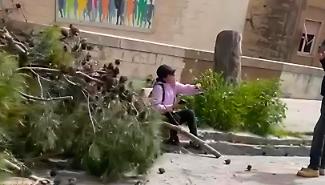 Ragusa, gli alberi e la mattinata movimentata nella piazzetta di via Benedetto Croce. Cinque stelle a corrente alternata