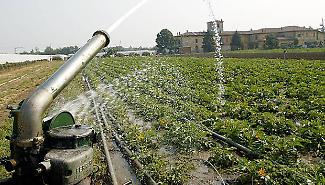 Gli invasi di Agrigento traboccano ma l'irrigazione non parte: &egrave; scontro sul Consorzio di bonifica