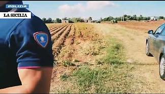 Contrasto al caporalato, scatta il blitz nelle campagne del Siracusano: ecco com'&egrave; andata VD