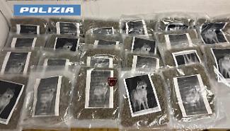 Vaccarizzo: cittadini segnalano movimenti sospetti, sequestrati 20 kg di marijuana