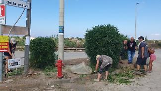 I pirati della Marza (Ispica) colpiscono ancora, ripulita un'aiuola
