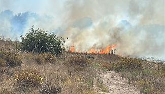 Vittoria, un incendio tira l'altro: fiamme a Serra San Bartolo