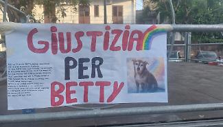 Dal quarto piano al cuore della piazza: l'addio a Betty scuote San Giovanni La Punta tra rabbia e paura