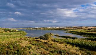 Riserva Biviere di Gela: questa volta si bonifica davvero o sar&agrave; l'ennesimo bluff?