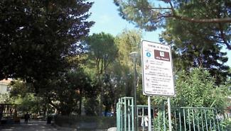 Villa Mazzini, marted&igrave; prove sull&rsquo;Araucaria