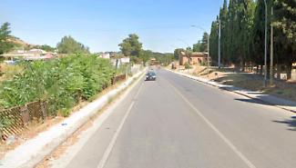 I cinghiali invadono ormai il centro abitato