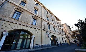 Il concorso per ricercatore in botanica che tiene banco nelle aule di giustizia da 16 anni: adesso arriva la svolta