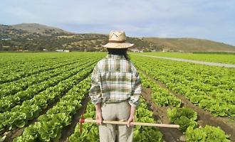 La Sicilia &egrave; la seconda regione pi&ugrave; giovane d'Italia, ma rischia di perdere il proprio futuro: cosa serve per fermare l'esodo