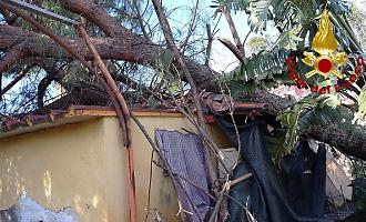 Catania, il vento abbatte alberi e cartelloni: oltre 250 interventi. Barbagallo: &laquo;Regioni dichiari nuovo stato di calamit&agrave;&raquo;