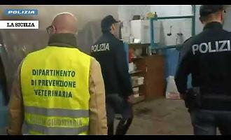Dalla segnalazione di un cittadino di un video scoperte stalle fantasma a San Cristoforo VIDEO 