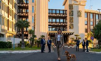 Cani e gatti alla scrivania: a Catania l'ufficio diventa "pet-friendly"