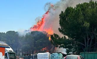 Fuoco e paura per un vasto incendio a Lentini: le fiamme alimentate dal vento di scirocco