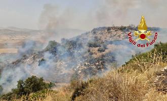 Regione, stop agli affari nelle aree degli incendi boschivi: a chi vanno i 18 milioni stanziati per la biodiversit&agrave;