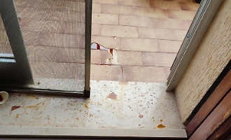 La vicina dispettosa e violenta, i condomini dentro il dramma