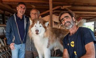 Aci Castello, la Regione finanzia il cantiere storico dei Rodolico