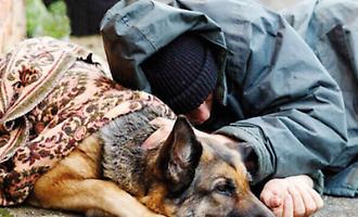 Senzatetto, a Palermo sono 611 tra emergenza e accoglienza