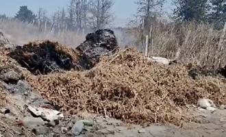 Vittoria, bruciano le discariche illegali di rifiuti agricoli: &laquo;Ci stanno avvelenando e non riusciamo a fermarli&raquo;