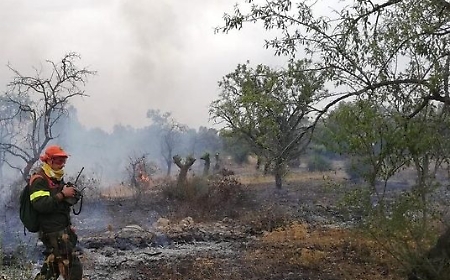 Pi&ugrave; ore di lavoro per 16 mila forestali in Sicilia, l'Ars approva la norma