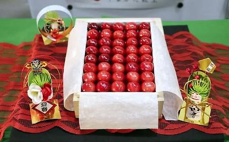 Le ciliegie Sato Nishiki di Yamagata super lusso: battute a 140 euro l'una