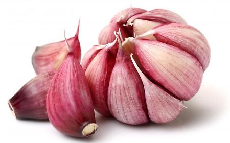 Il maltempo minaccia l&rsquo;aglio rosso di Nubia: produzione a rischio per il 2027