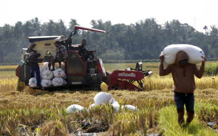Gli invisibili granelli della crisi: come la guerra in Iran pu&ograve; far vacillare il cibo del mondo