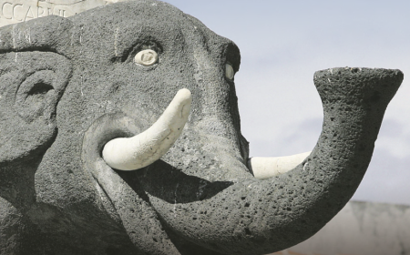 Catania Capitale della cultura mancata, tra delusione e voglia di rilanciare. Trantino: &laquo;Realizzeremo i progetti&raquo;