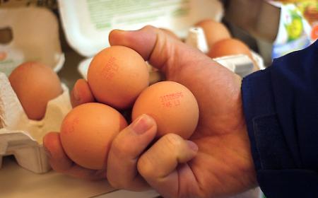 Pasqua 2026: stangata uova, prezzi su del 27%. Ecco perch&eacute; costano cos&igrave; tanto