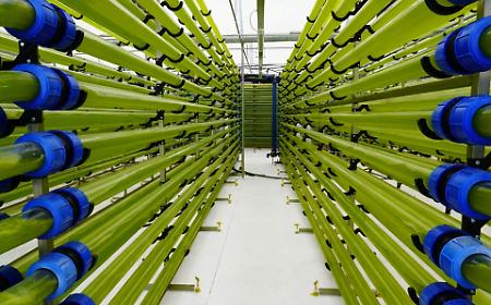 A Catania le aziende di oggi che scrivono il domani: dalle alghe per gli integratori al robot che raccoglie arance, pere e kiwi