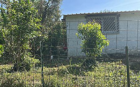 Omicidio a Palermo, sedicenne uccide un uomo e si costituisce: "Avance sessuali"