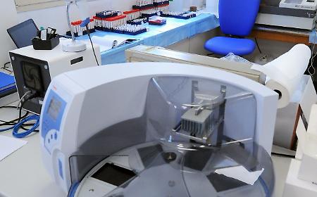 Test per l'Hantavirus Andes in Sicilia: quali sono i laboratori di riferimento a Palermo e Catania