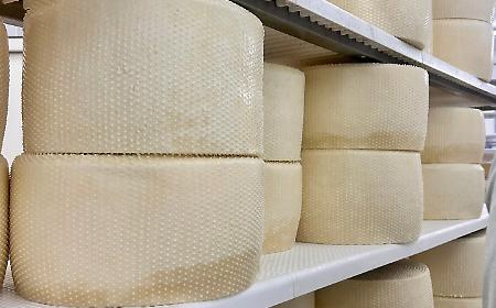Dalla ricotta alla cagliata, ode al formaggio alla Sagra del Quisquina Cheese Festival il 30 e il 31 maggio