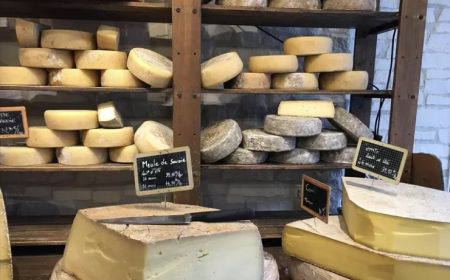 Trionfo per latte e formaggi: la Milk Economy vale 31 miliardi