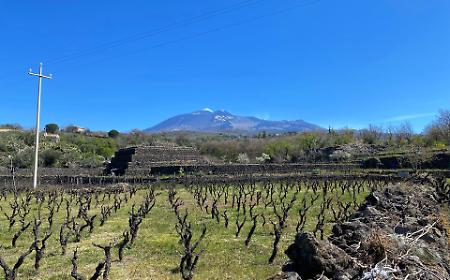 &ldquo;Vulcanica&rdquo; , i produttori di vino del versante Sud-Ovest dell&rsquo;Etna si riuniscono a Biancavilla