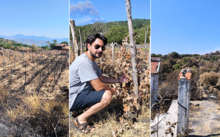 Nei borghi dell'Etna sconvolti dagli incendi, &laquo;chi &egrave; stato conosce bene il territorio&raquo;. L'imprenditore: &laquo;La mia vigna distrutta&raquo;