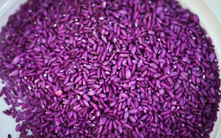 Autunno in tavola, cinque ricette per riscoprire il riceberry