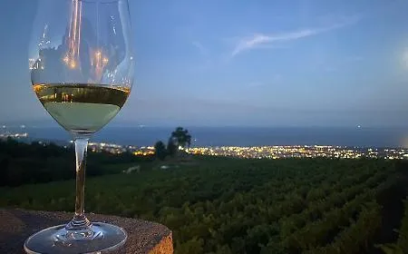 Le Sagre del fine settimana in Sicilia, dal vino dell'Etna alle busiate, al trionfo del pesce in piazza. Ecco gli appuntamenti del weekend